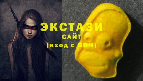 ECSTASY Богородицк